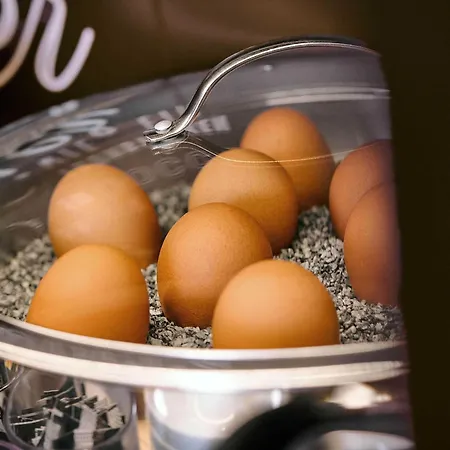 Regensburg-city فندق ريغنسبورغ